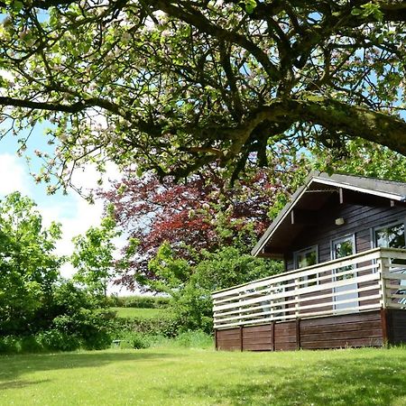 Avallon Lodges Launceston Ngoại thất bức ảnh