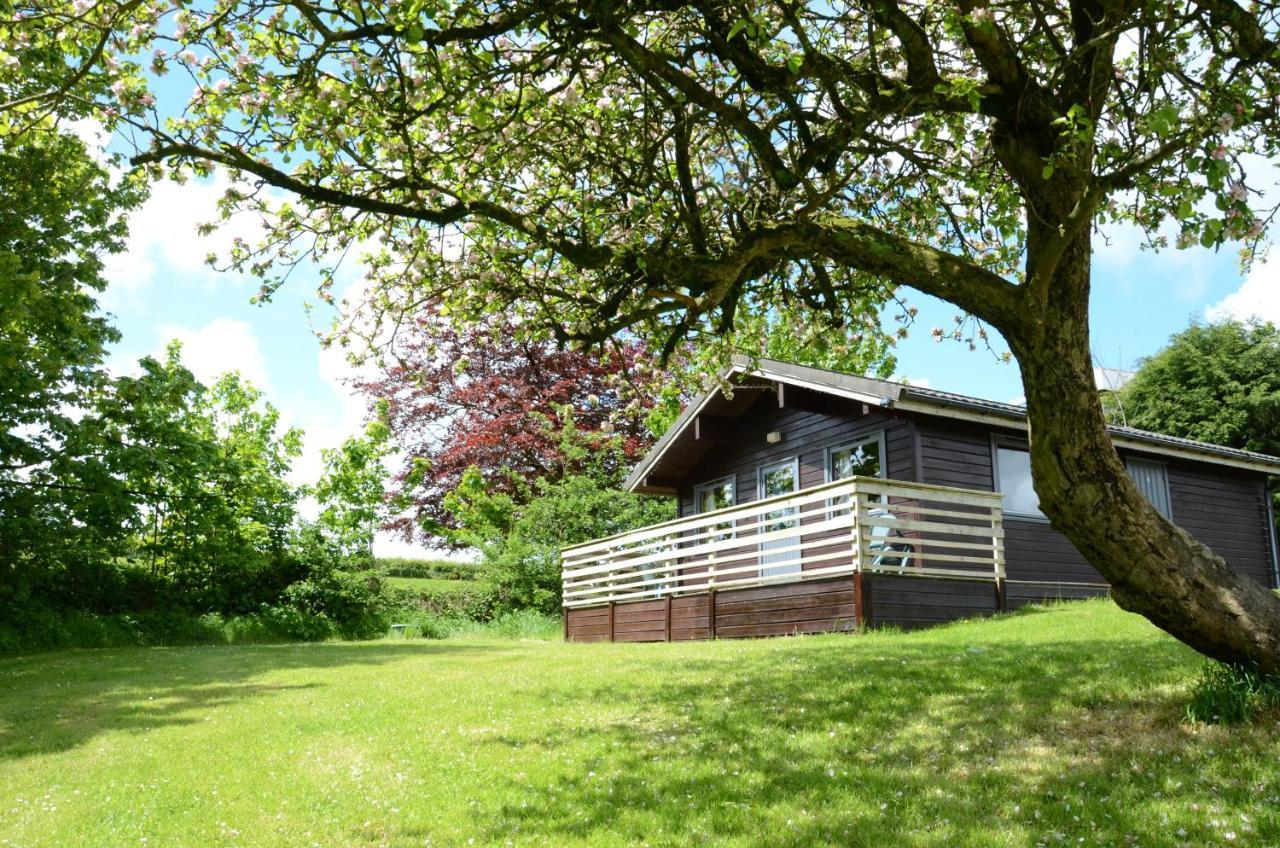 Avallon Lodges Launceston Ngoại thất bức ảnh