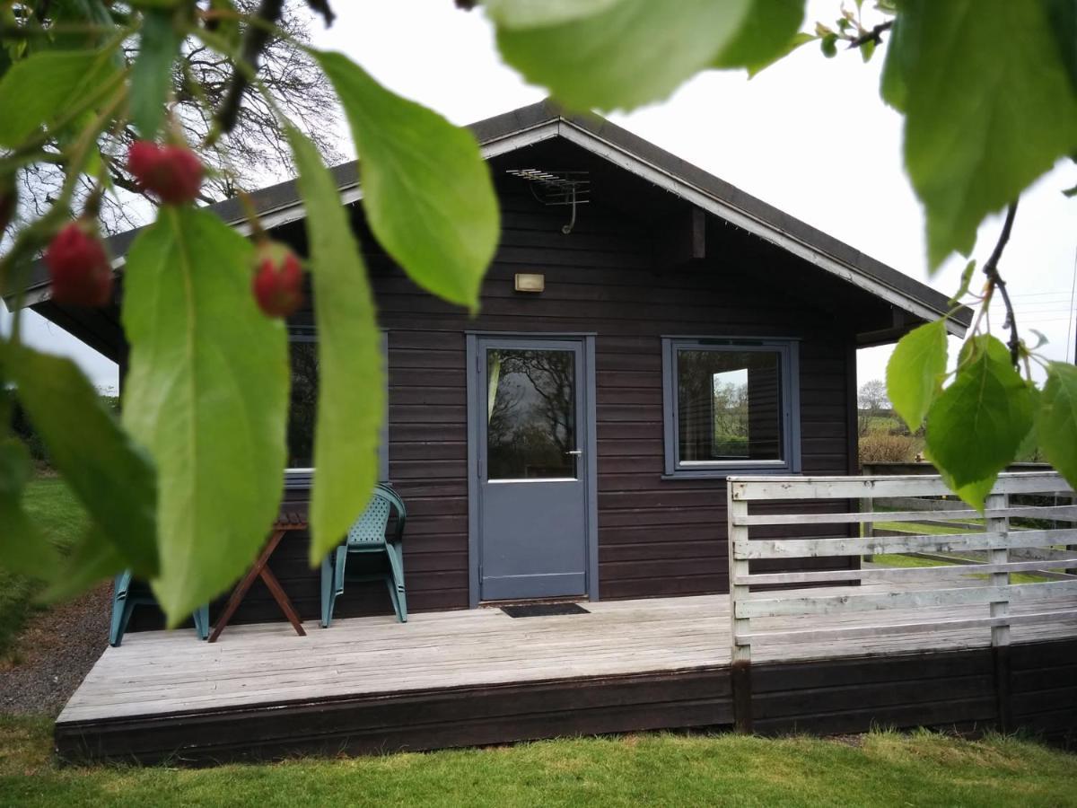 Avallon Lodges Launceston Ngoại thất bức ảnh
