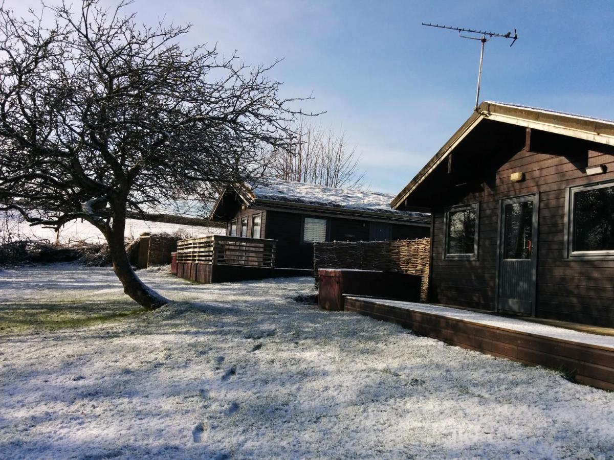 Avallon Lodges Launceston Ngoại thất bức ảnh