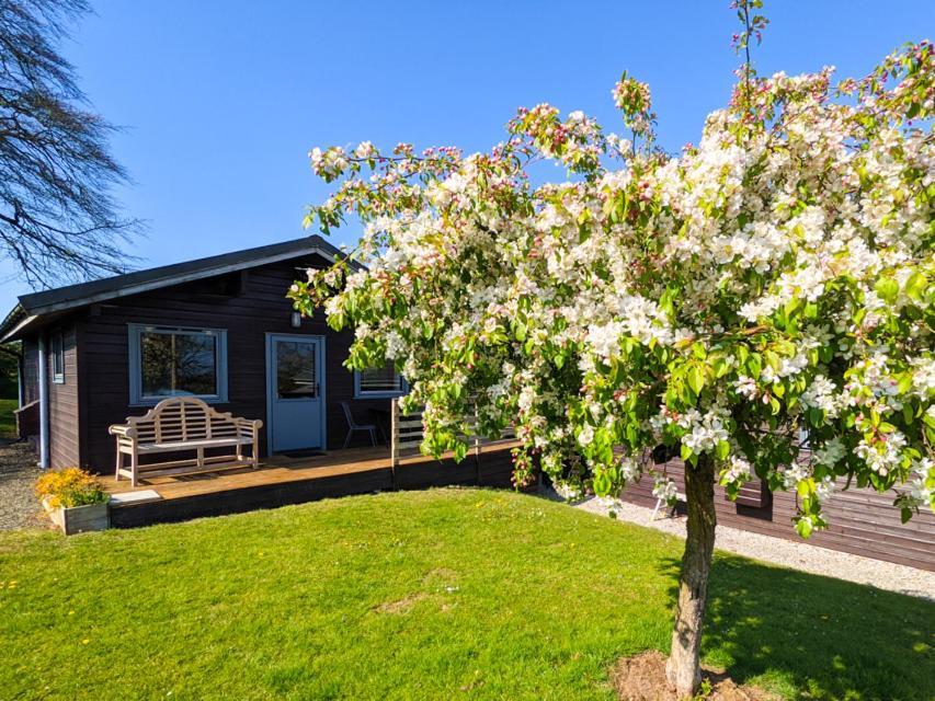 Avallon Lodges Launceston Ngoại thất bức ảnh