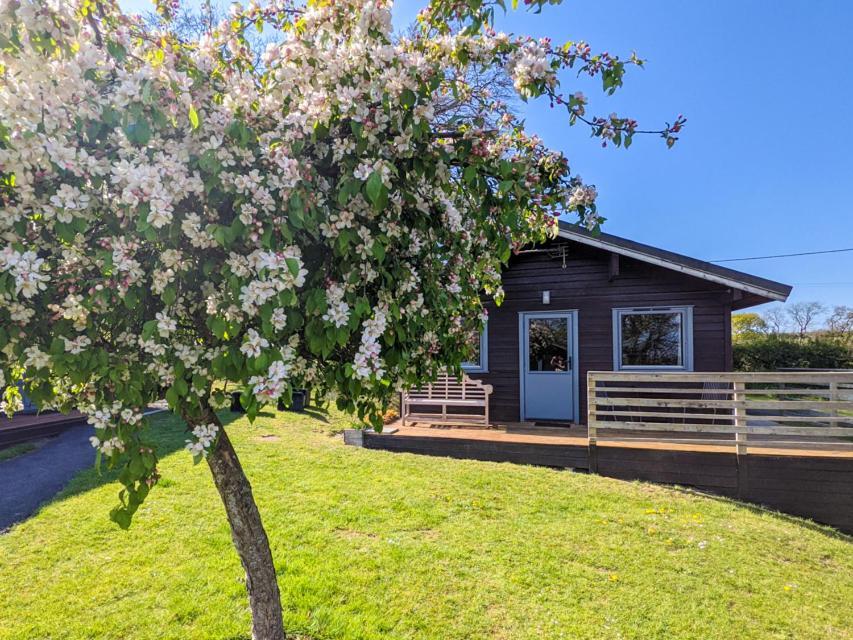 Avallon Lodges Launceston Ngoại thất bức ảnh